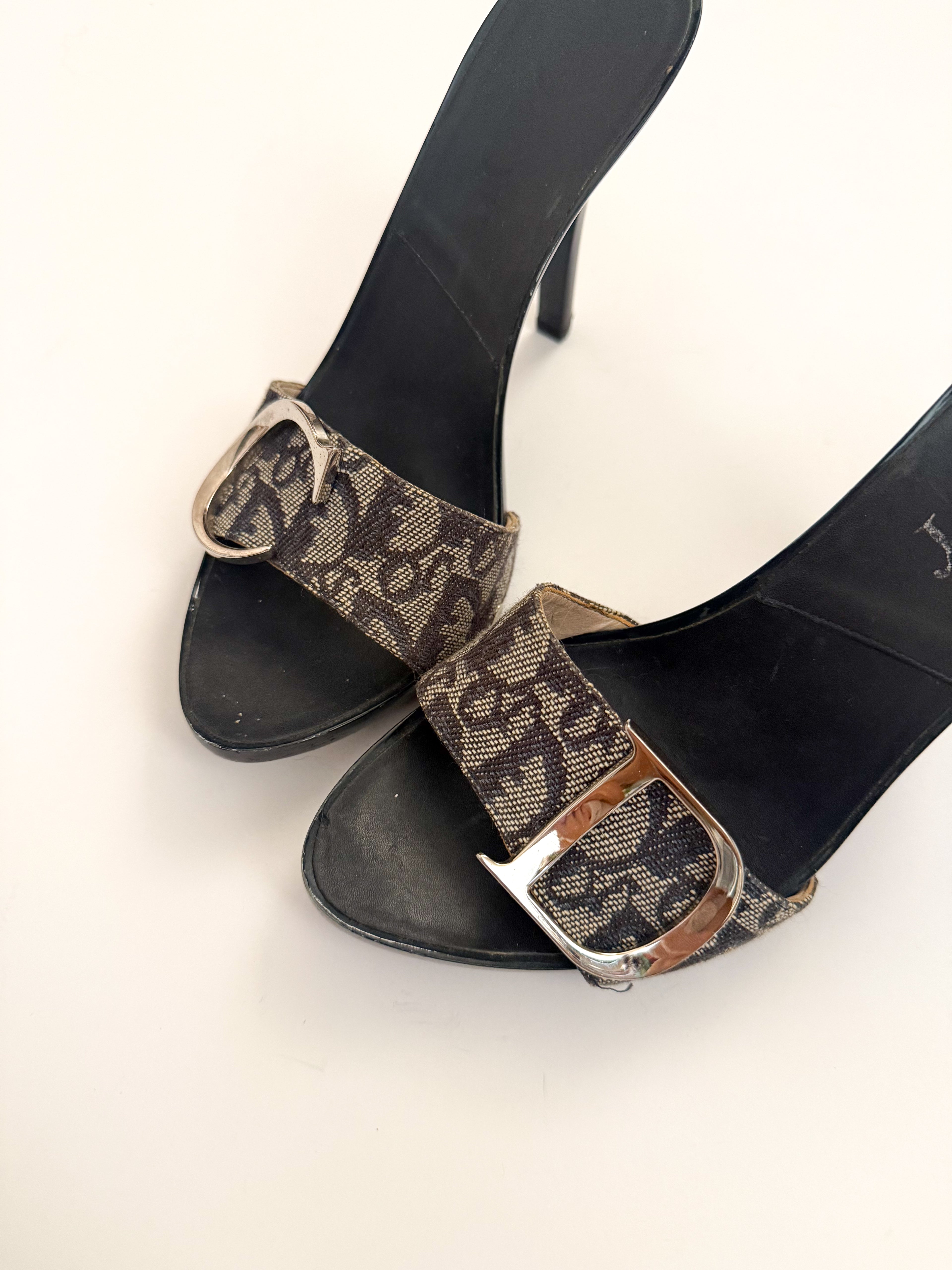 Christian Dior Blue Monogram Canvas Trotter Heels