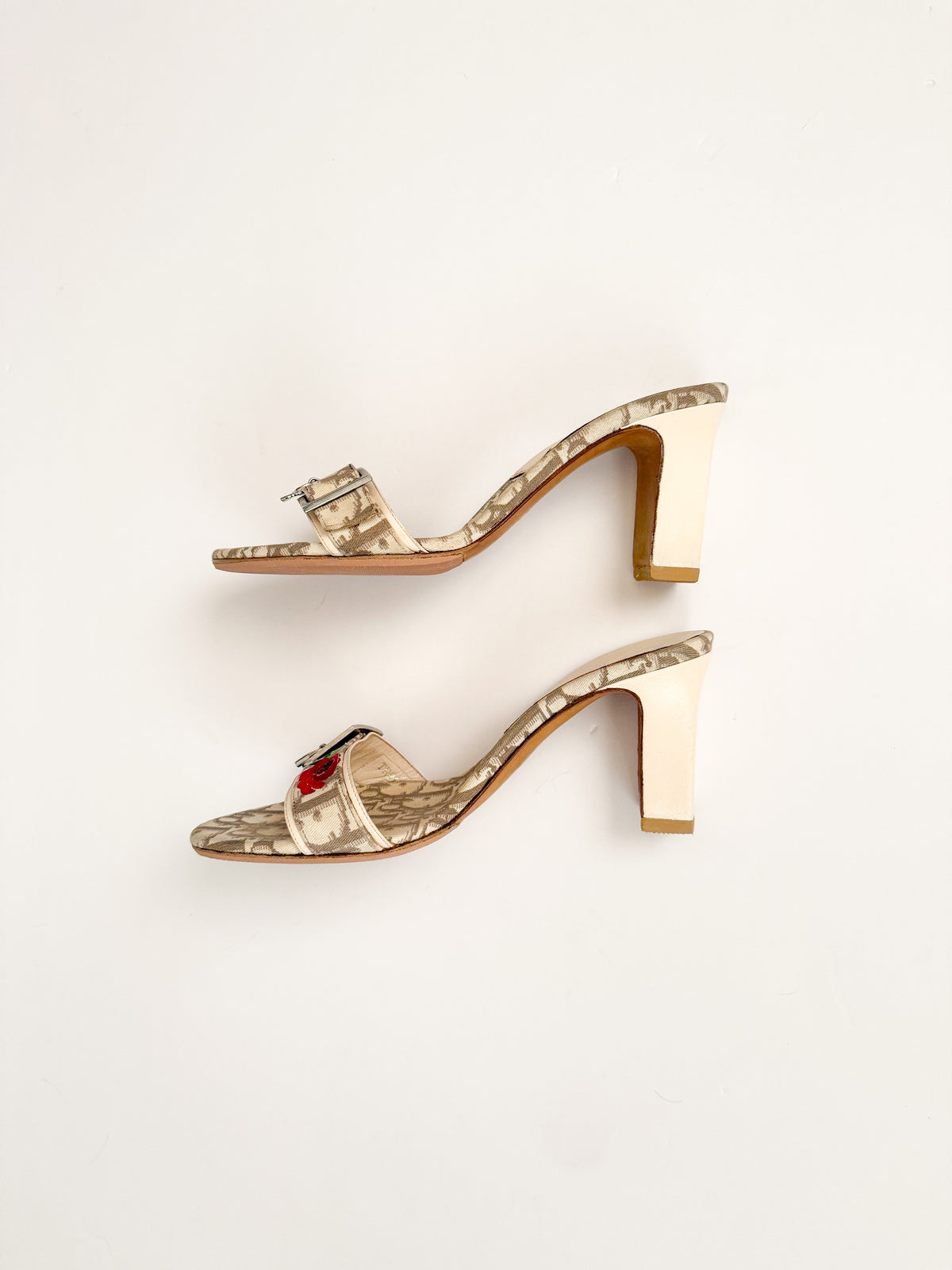 Christian Dior Trotter S/S 2005 Rose Lock & Key Heels