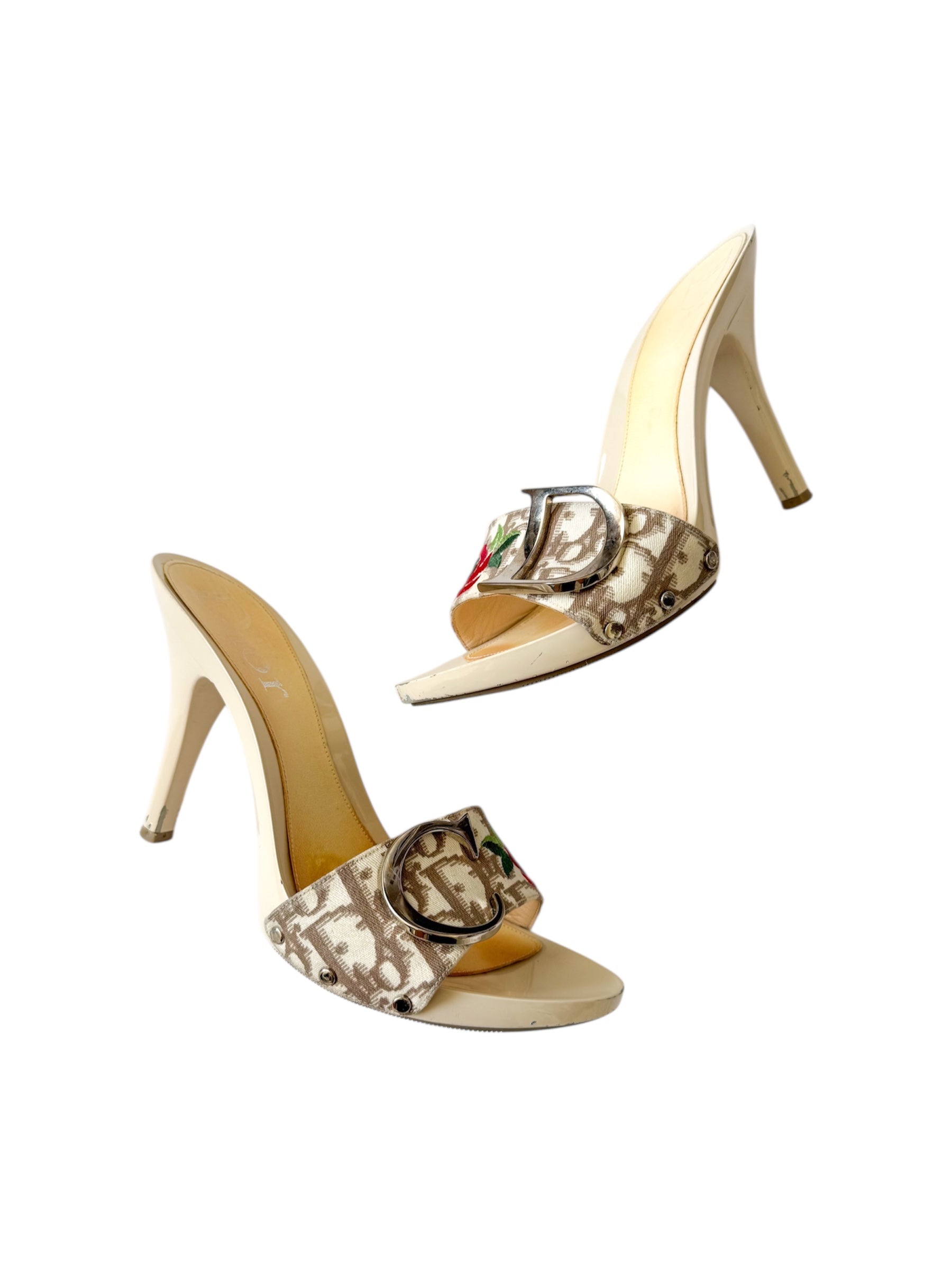 Christan Dior Trotter CD Rose Heels