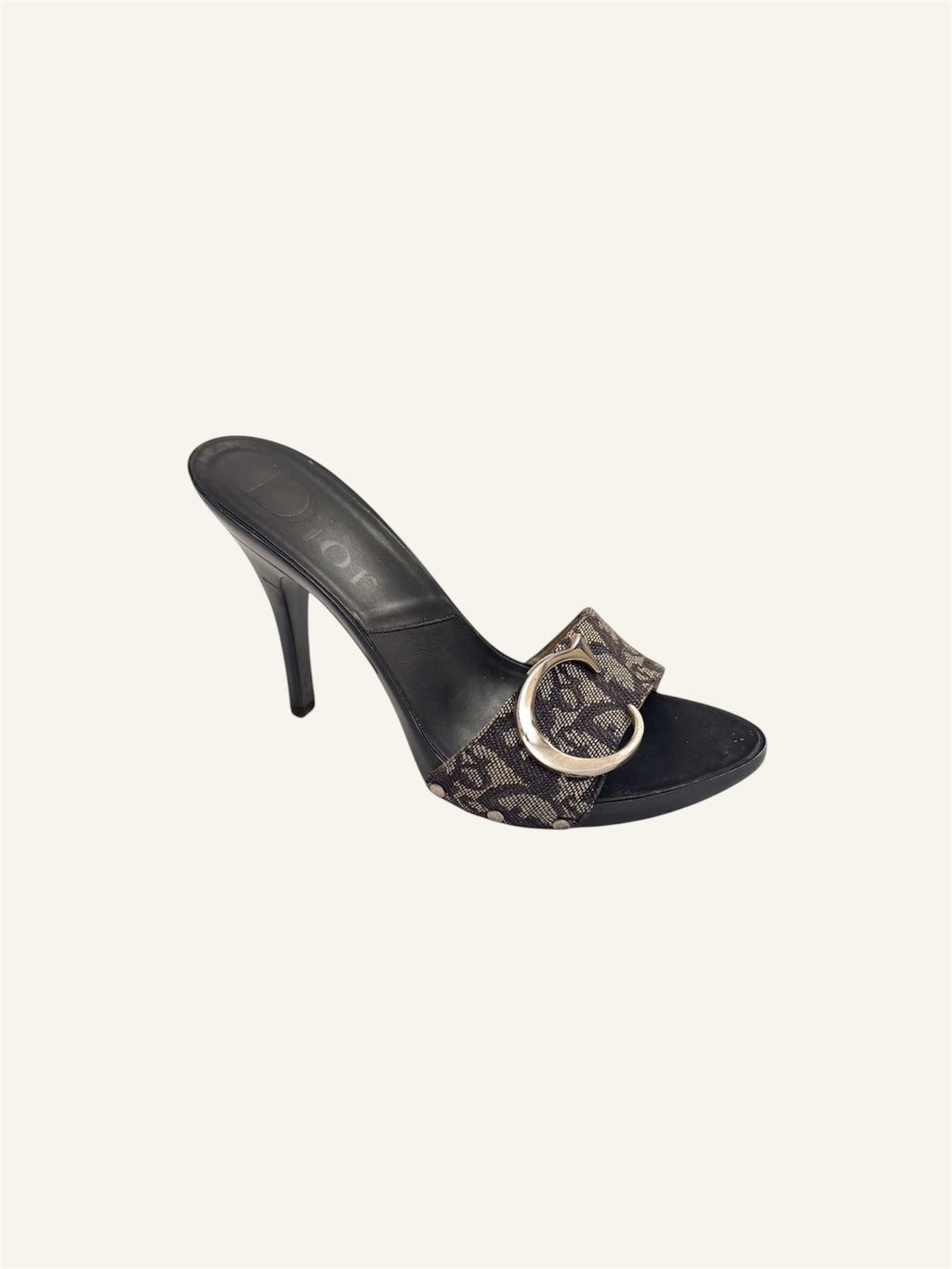 Christian Dior Blue Monogram Canvas Trotter Heels