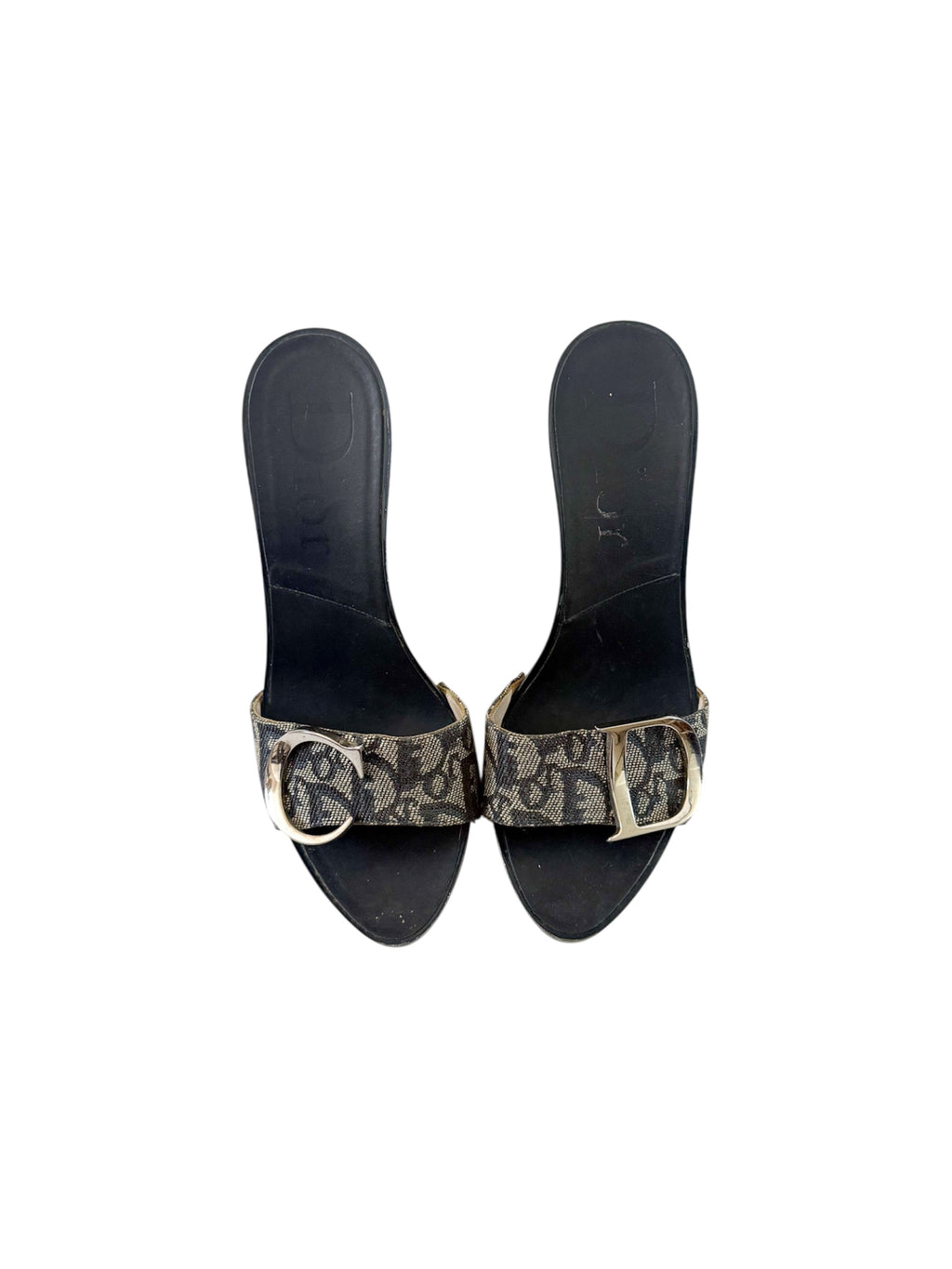 Christian Dior Blue Monogram Canvas Trotter Heels
